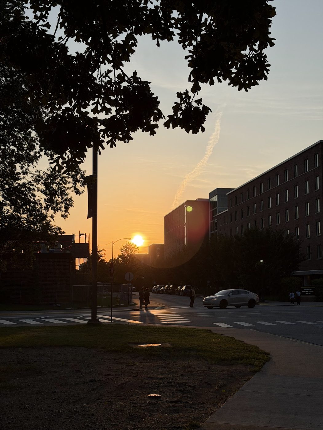 The sun setting over a campus street, framed by trees and a brick residence hall